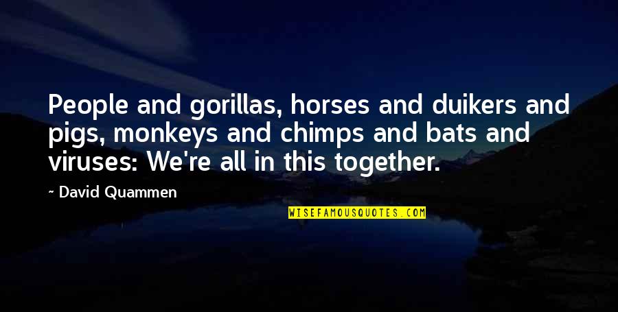 All In This Together Quotes By David Quammen: People and gorillas, horses and duikers and pigs,