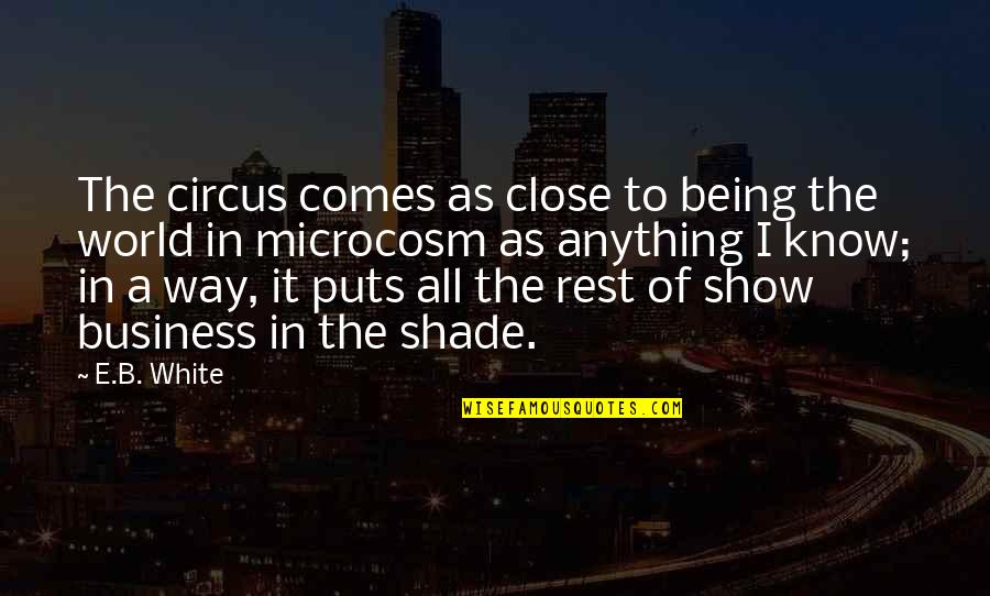 All In White Quotes By E.B. White: The circus comes as close to being the