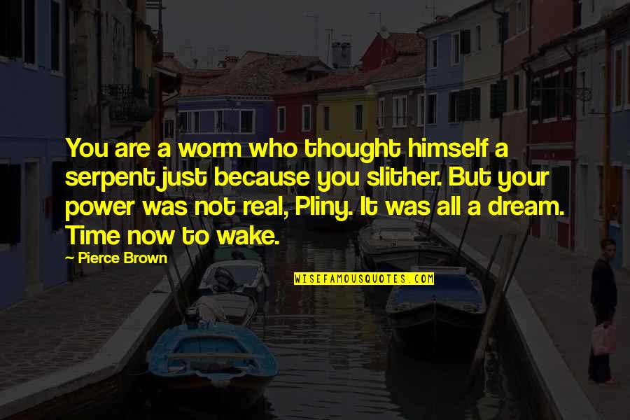 All Just A Dream Quotes By Pierce Brown: You are a worm who thought himself a