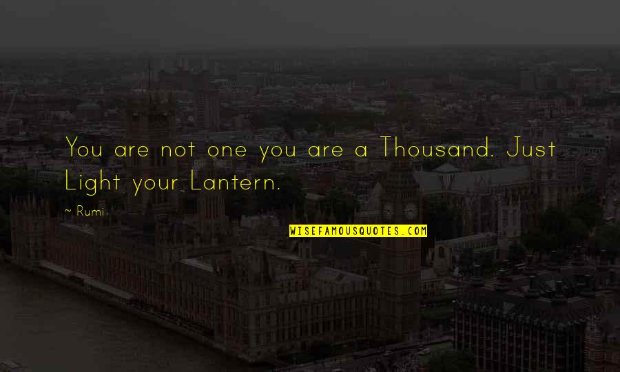 All Lantern Quotes By Rumi: You are not one you are a Thousand.