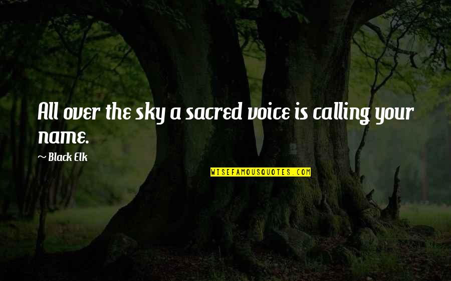 All Life Is Sacred Quotes By Black Elk: All over the sky a sacred voice is