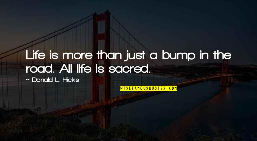 All Life Is Sacred Quotes By Donald L. Hicks: Life is more than just a bump in