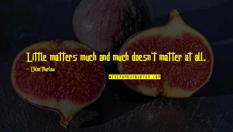 All Life Matters Quotes By Chloe Thurlow: Little matters much and much doesn't matter at