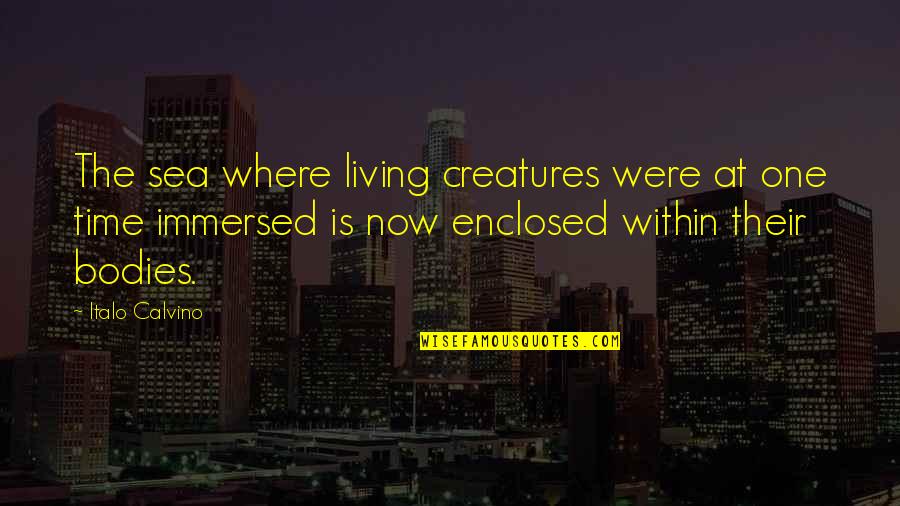 All Living Creatures Quotes By Italo Calvino: The sea where living creatures were at one