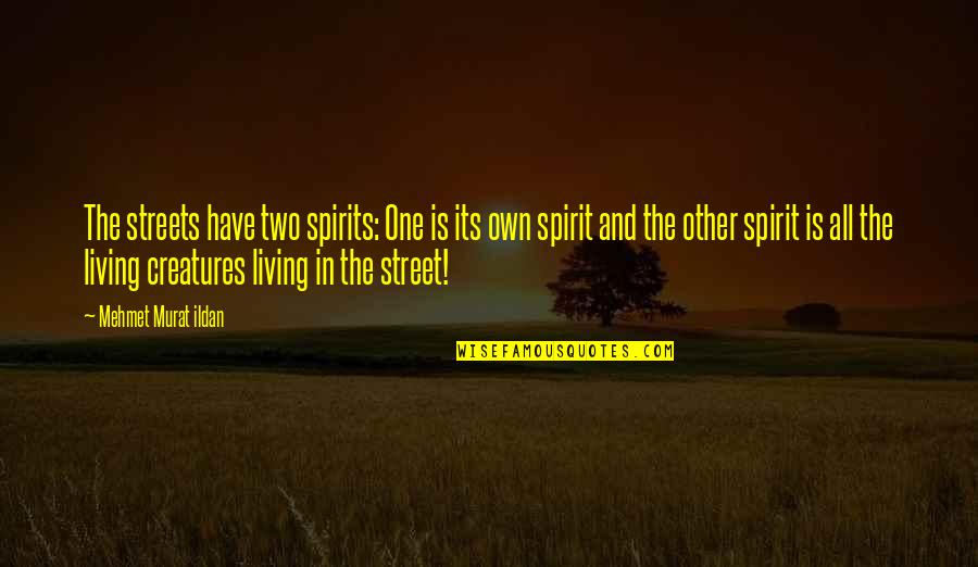 All Living Creatures Quotes By Mehmet Murat Ildan: The streets have two spirits: One is its