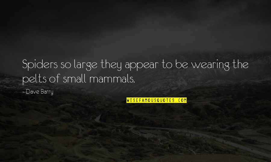 All Mammals Quotes By Dave Barry: Spiders so large they appear to be wearing