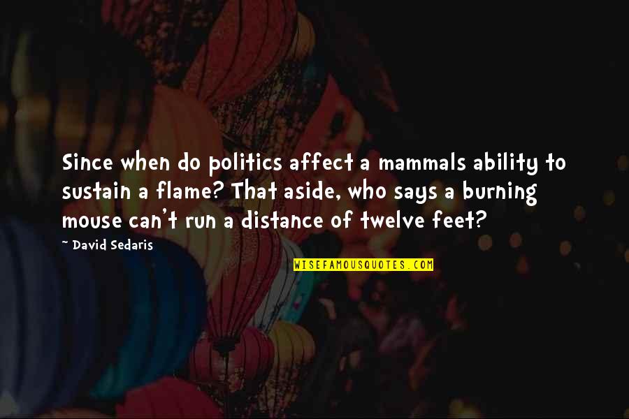 All Mammals Quotes By David Sedaris: Since when do politics affect a mammals ability
