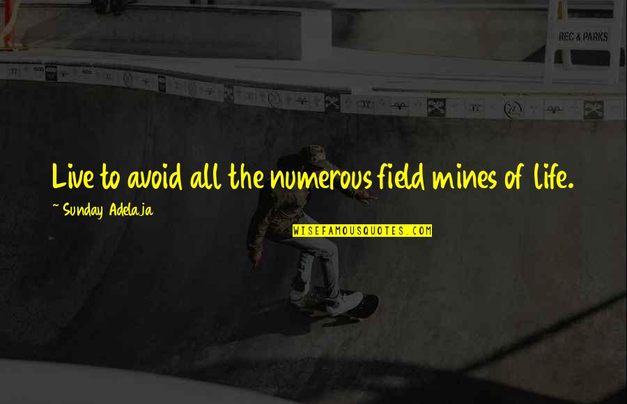 All Mines Quotes By Sunday Adelaja: Live to avoid all the numerous field mines