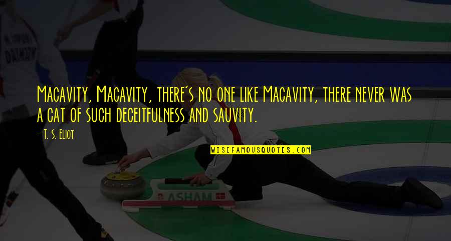 All My Hard Work Paid Off Quotes By T. S. Eliot: Macavity, Macavity, there's no one like Macavity, there