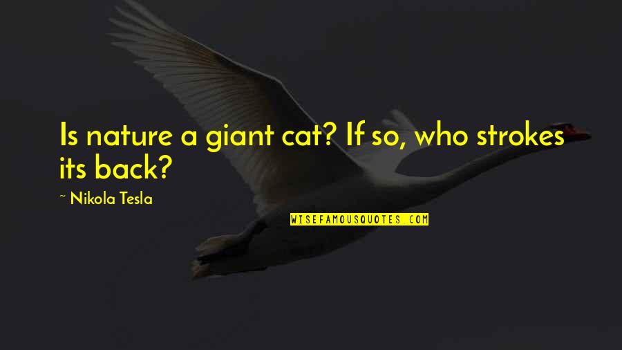 All Nikola Quotes By Nikola Tesla: Is nature a giant cat? If so, who All Nikola Quotes By Nikola Tesla: Is nature a giant cat? If so, who