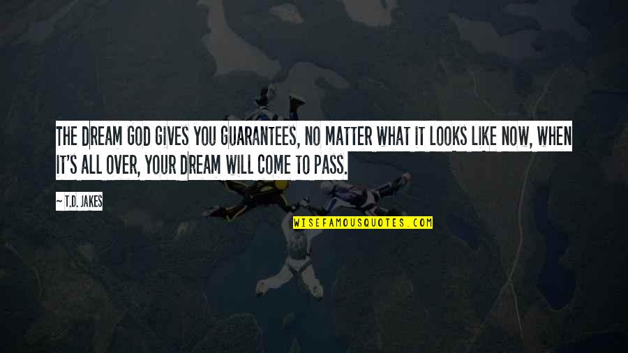 All Over Like Quotes By T.D. Jakes: The dream God gives you guarantees, no matter