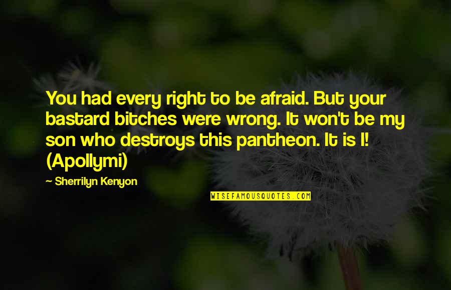 All Pantheon Quotes By Sherrilyn Kenyon: You had every right to be afraid. But All Pantheon Quotes By Sherrilyn Kenyon: You had every right to be afraid. But