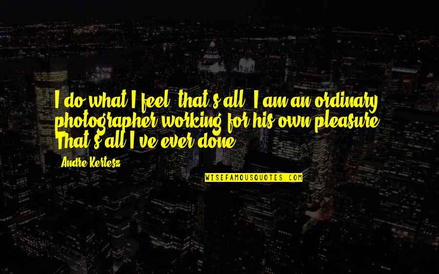 All People Created Equal Quotes By Andre Kertesz: I do what I feel, that's all. I