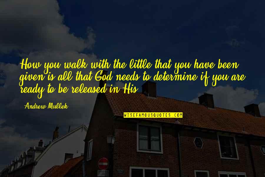 All Ready Quotes By Andrew Mullek: How you walk with the little that you