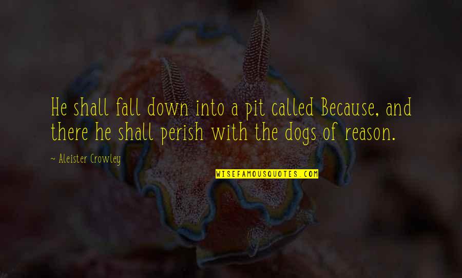 All Shall Perish Quotes By Aleister Crowley: He shall fall down into a pit called