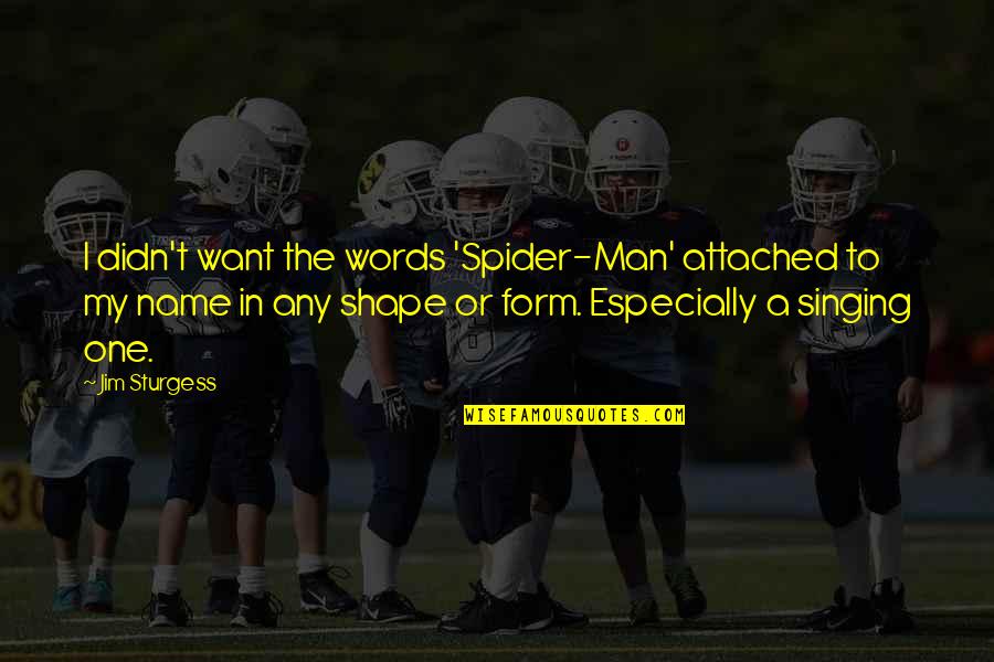 All Spider Man Quotes By Jim Sturgess: I didn't want the words 'Spider-Man' attached to All Spider Man Quotes By Jim Sturgess: I didn't want the words 'Spider-Man' attached to