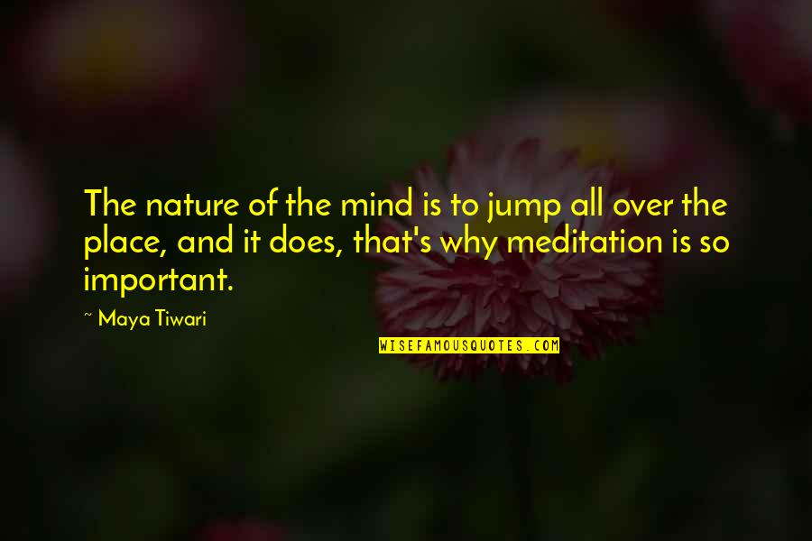 All That Is Quotes By Maya Tiwari: The nature of the mind is to jump