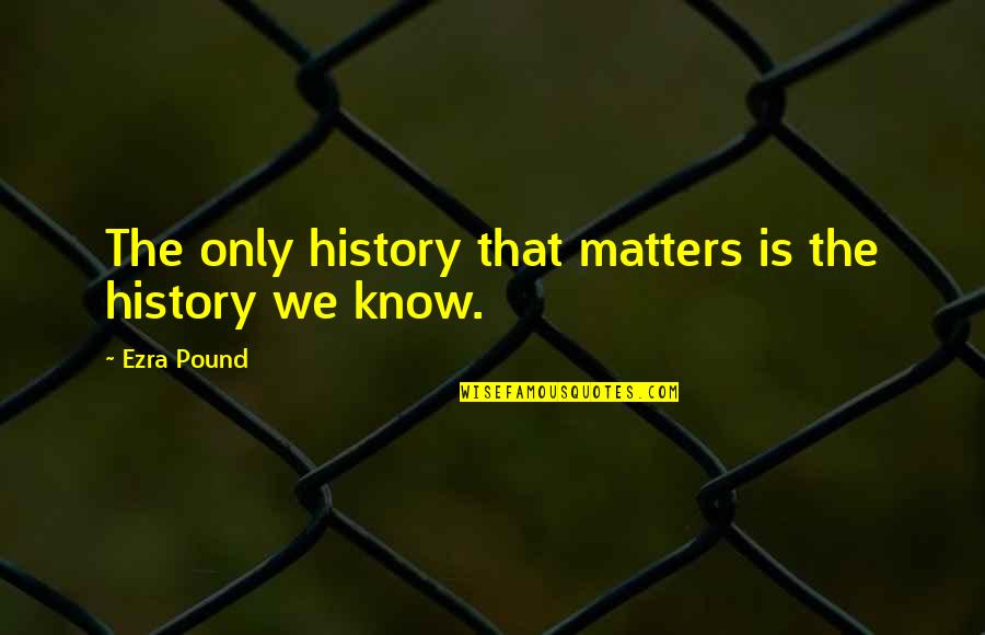 All That Matters Is Now Quotes By Ezra Pound: The only history that matters is the history