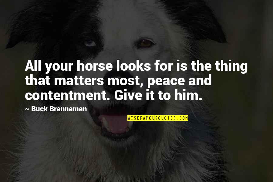 All That Matters Quotes By Buck Brannaman: All your horse looks for is the thing