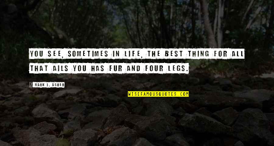 All The Best For Quotes By Mark J. Asher: You see, sometimes in life, the best thing