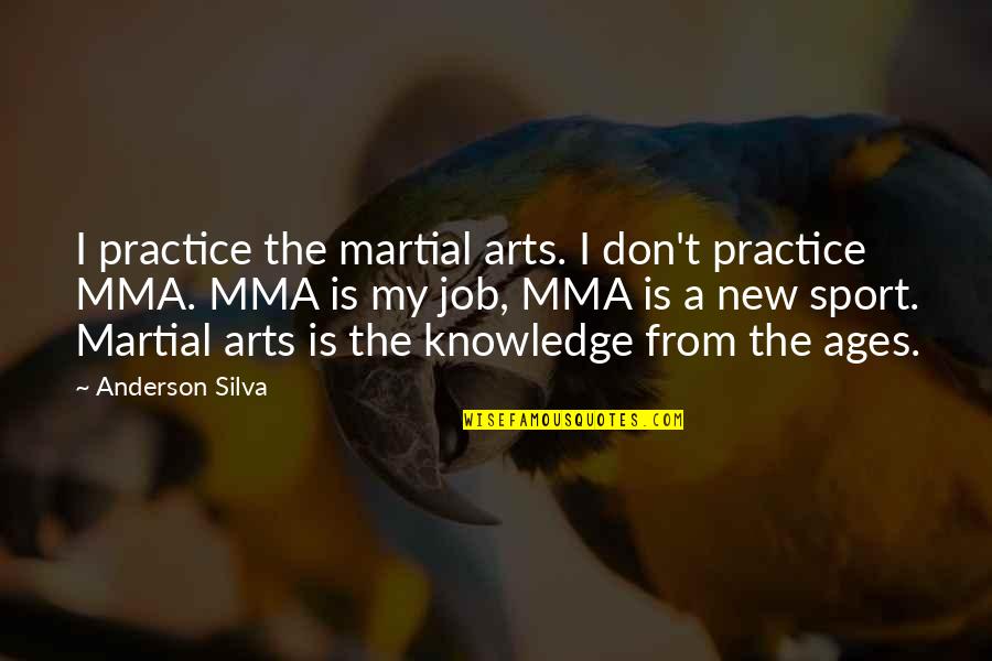 All The Best For Your New Job Quotes By Anderson Silva: I practice the martial arts. I don't practice