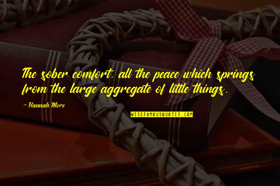 All The Little Things Quotes By Hannah More: The sober comfort, all the peace which springs