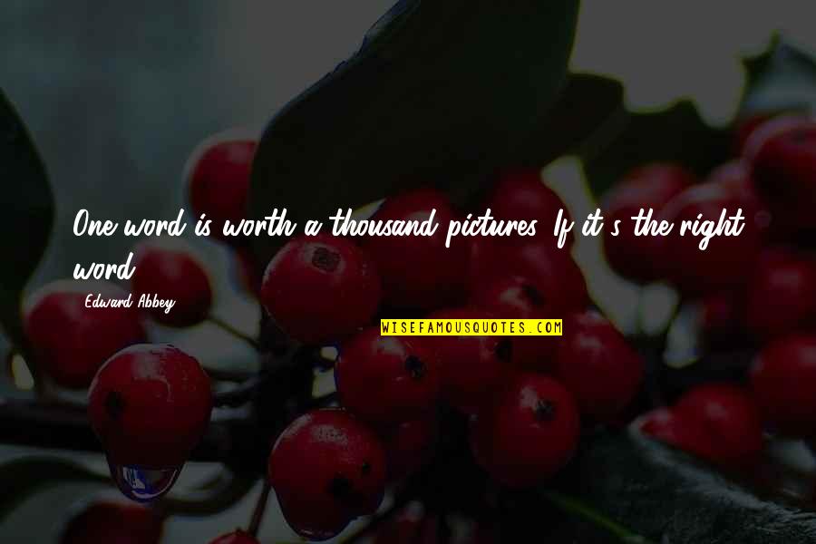 All The Right Words Quotes By Edward Abbey: One word is worth a thousand pictures. If
