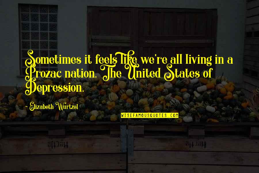 All The States Quotes By Elizabeth Wurtzel: Sometimes it feels like we're all living in
