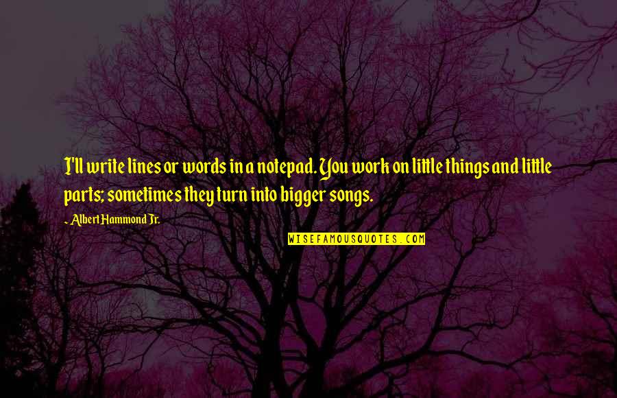 All These Little Things Quotes By Albert Hammond Jr.: I'll write lines or words in a notepad.