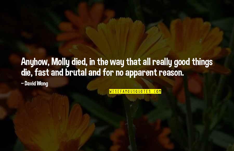 All Things For Good Quotes By David Wong: Anyhow, Molly died, in the way that all