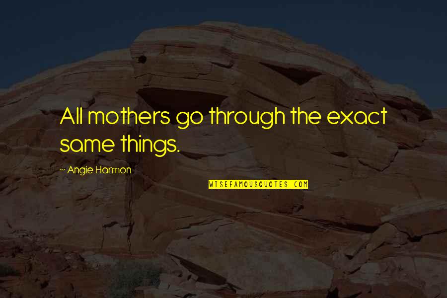 All Things Go Quotes By Angie Harmon: All mothers go through the exact same things.