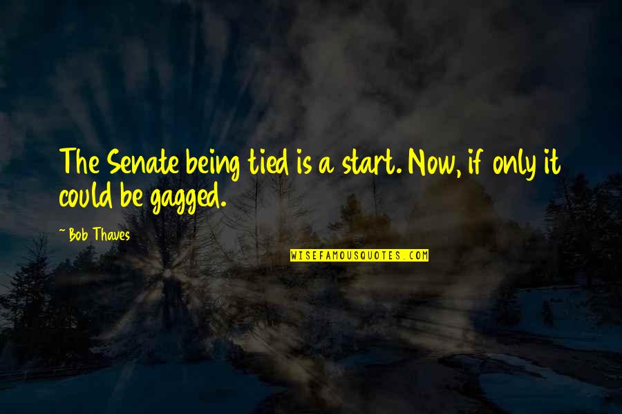 All Tied Up Quotes By Bob Thaves: The Senate being tied is a start. Now,