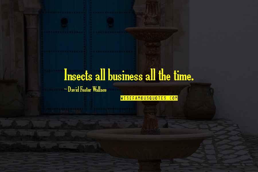 All Time Business Quotes By David Foster Wallace: Insects all business all the time.