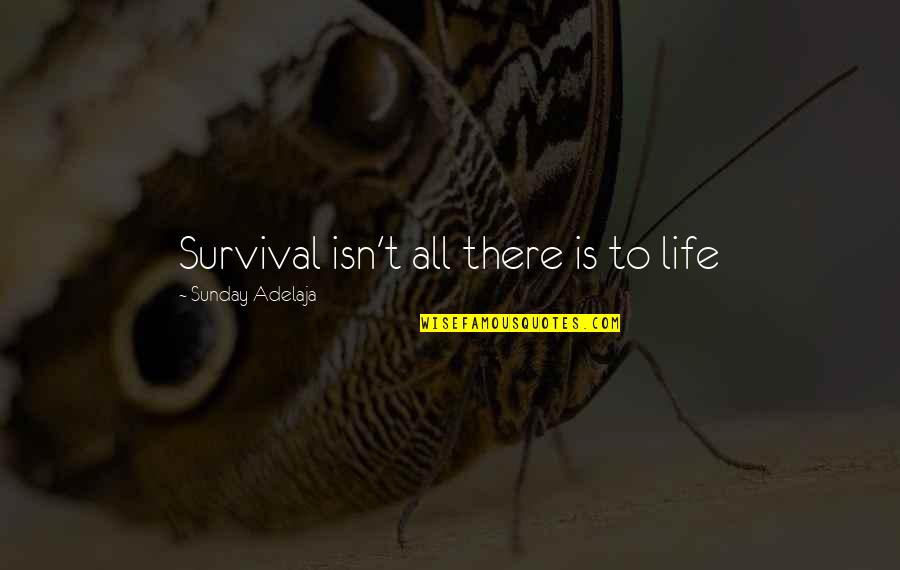 All Time Love Quotes By Sunday Adelaja: Survival isn't all there is to life