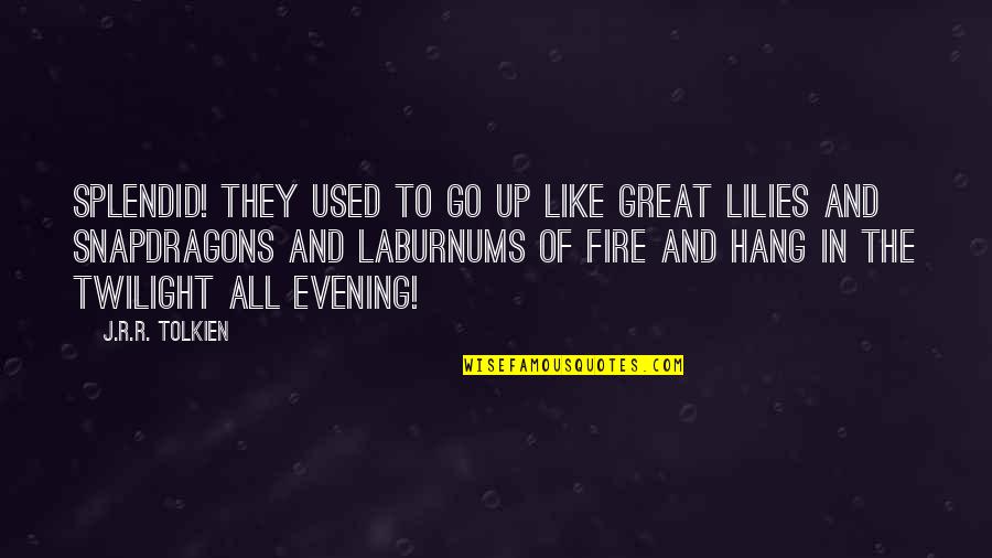All Used Up Quotes By J.R.R. Tolkien: Splendid! They used to go up like great
