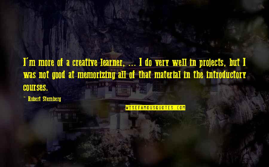 All Was Well Quotes By Robert Sternberg: I'm more of a creative learner, ... I