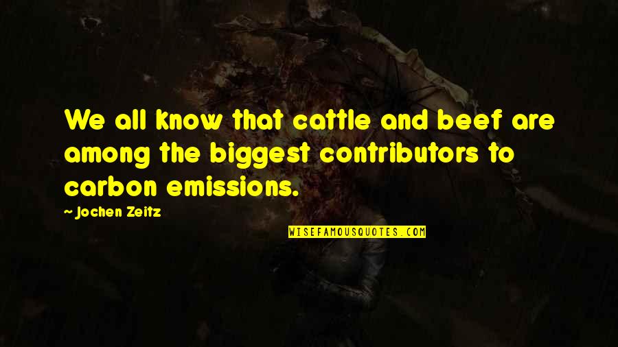 All We Are Quotes By Jochen Zeitz: We all know that cattle and beef are