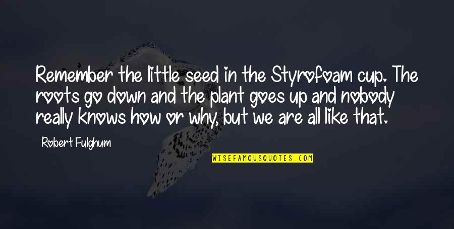 All We Are Quotes By Robert Fulghum: Remember the little seed in the Styrofoam cup.