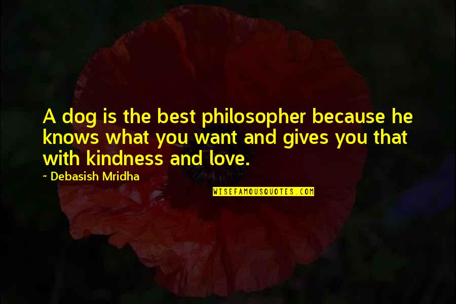 All We Want In Life Quotes By Debasish Mridha: A dog is the best philosopher because he