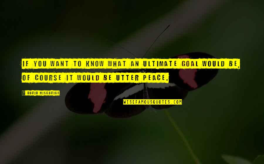 All We Want Is Peace Quotes By David Miscavige: If you want to know what an ultimate