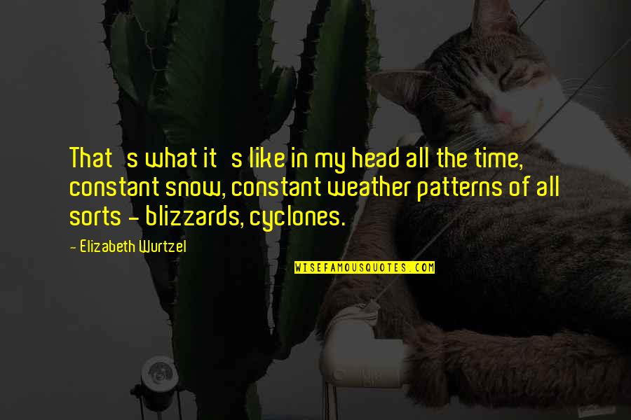All Weather Quotes By Elizabeth Wurtzel: That's what it's like in my head all All Weather Quotes By Elizabeth Wurtzel: That's what it's like in my head all