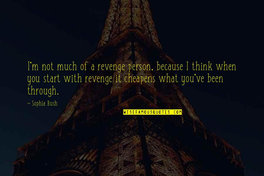 All We've Been Through Quotes By Sophia Bush: I'm not much of a revenge person, because