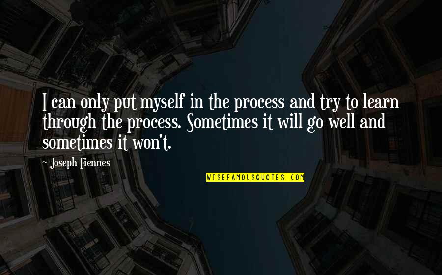 All Will Go Well Quotes By Joseph Fiennes: I can only put myself in the process