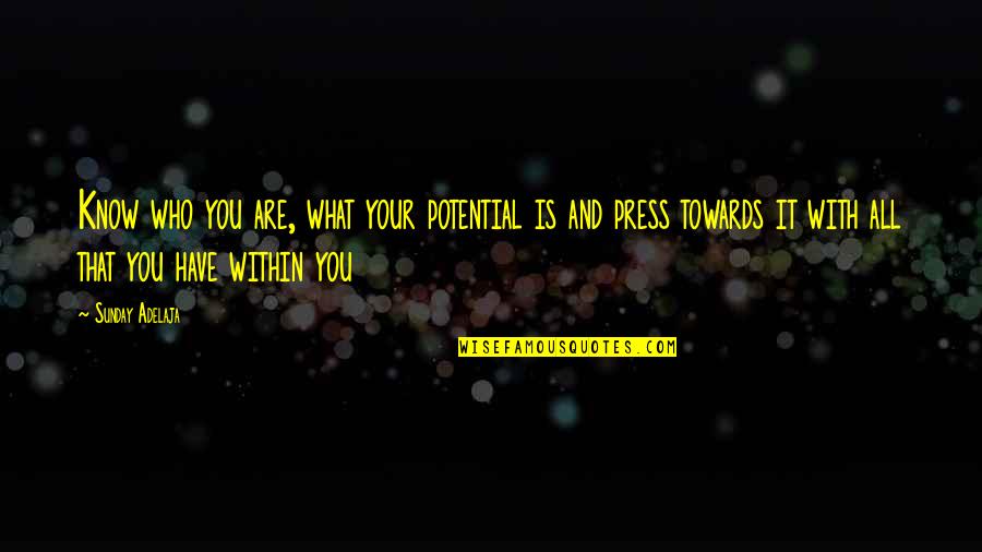 All Work Quotes By Sunday Adelaja: Know who you are, what your potential is