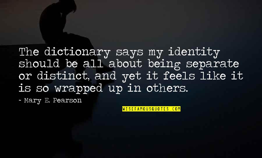 All Wrapped Up Quotes By Mary E. Pearson: The dictionary says my identity should be all