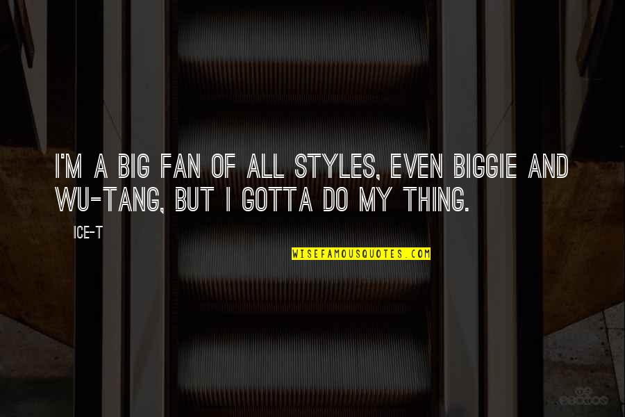 All You Gotta Do Quotes By Ice-T: I'm a big fan of all styles, even