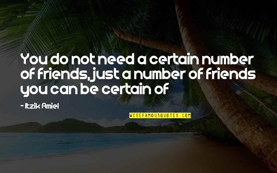 All You Need Friends Quotes By Itzik Amiel: You do not need a certain number of