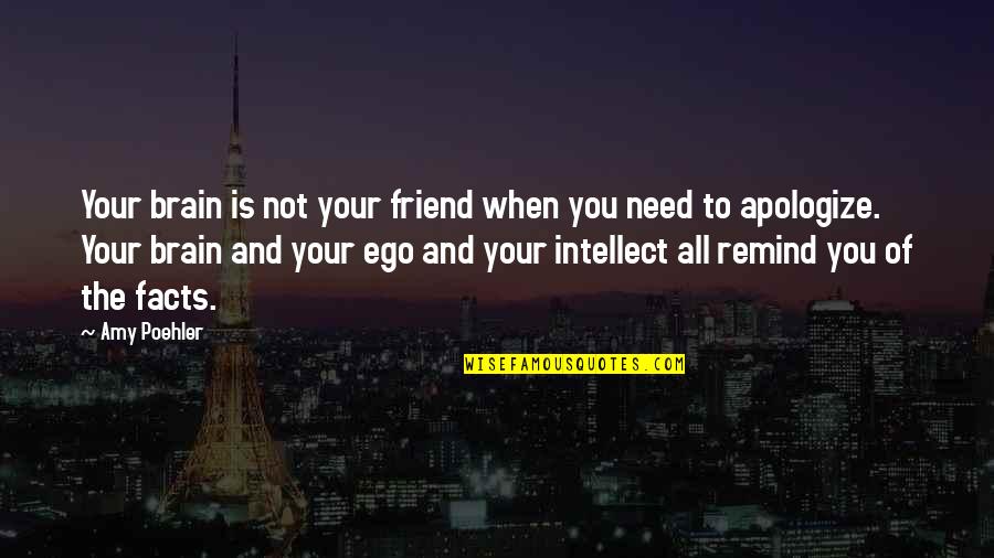 All You Need's A Friend Quotes By Amy Poehler: Your brain is not your friend when you