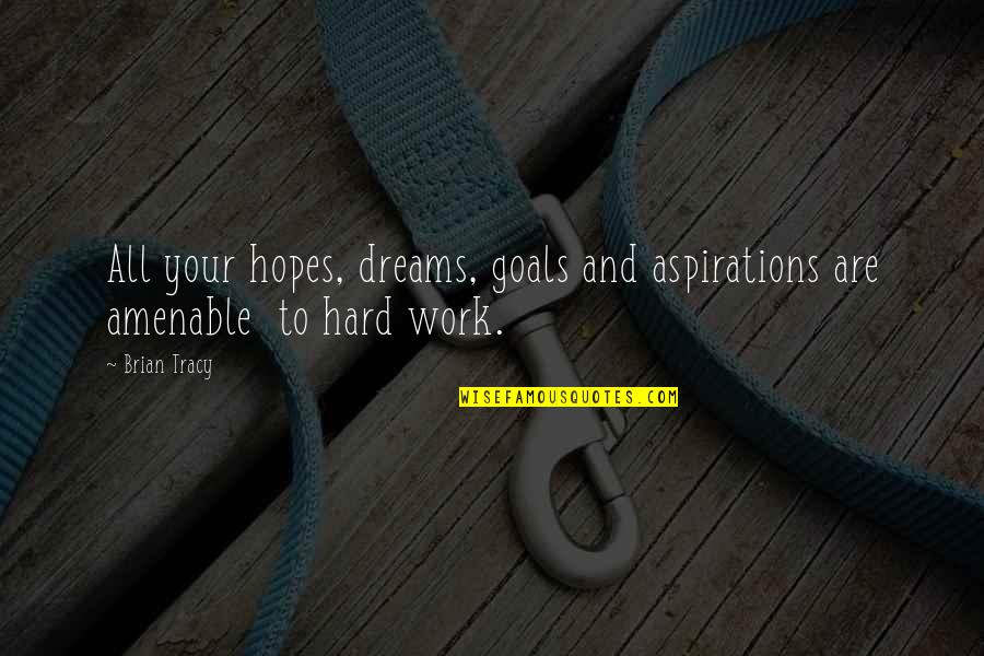 All Your Hard Work Quotes By Brian Tracy: All your hopes, dreams, goals and aspirations are