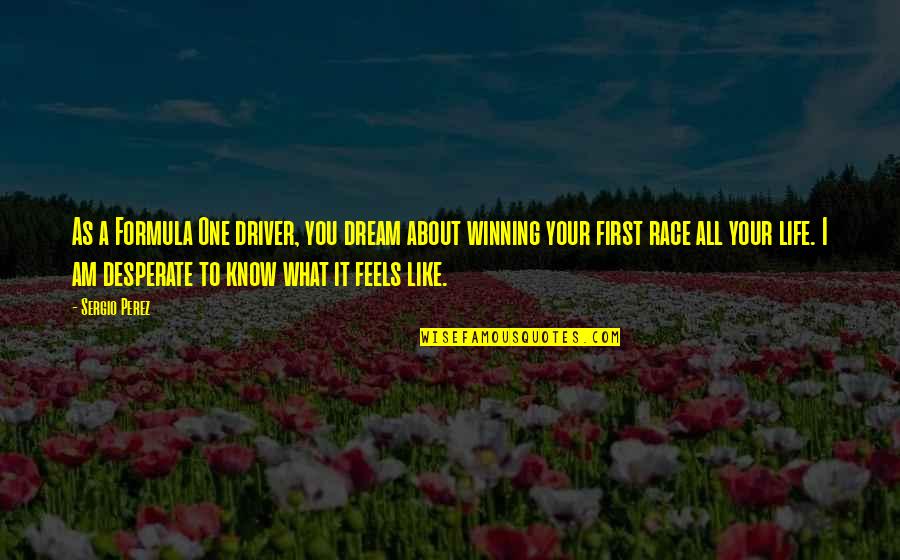 All Your Life Quotes By Sergio Perez: As a Formula One driver, you dream about